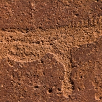 Twyfelfontein, Namibia  petroglyph