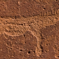 Twyfelfontein, Namibia  petroglyph