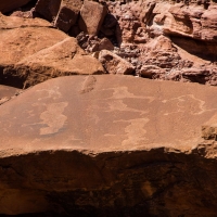 Twyfelfontein, Namibia  petroglyph