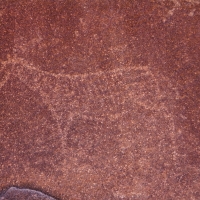 Twyfelfontein, Namibia  petroglyph