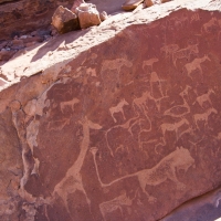 Twyfelfontein, Namibia  petroglyph