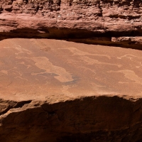 Twyfelfontein, Namibia  petroglyph