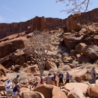 Twyfelfontein, Namibia  petroglyph