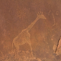 Twyfelfontein, Namibia  petroglyph