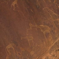 Twyfelfontein, Namibia  petroglyph