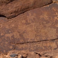 Twyfelfontein, Namibia  petroglyph