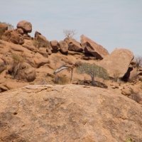 Namibia, Mowani Lodge