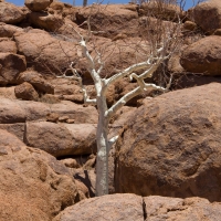 Namibia, Mowani Lodge