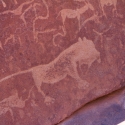 Twyfelfontein, Namibia  petroglyph