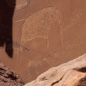 Twyfelfontein, Namibia  petroglyph