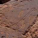 Twyfelfontein, Namibia  petroglyph