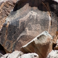 Petroglyphs