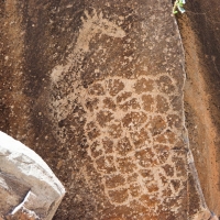 Petroglyphs