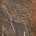 Petroglyphs