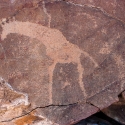 Petroglyphs