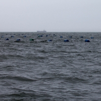 Boat trip from Walvis Bay - Oyster farm