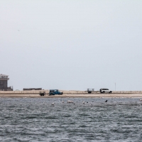 Boat trip from Walvis Bay - Shore vehicles for sea lions viwing