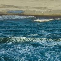 Dead whale on Namibia coast