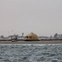 Boat trip from Walvis Bay - On the shore