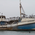 Boat trip from Walvis Bay - Cape Cormorant