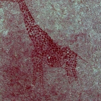 Rock art at Ai Aba Lodge, Erongo region, Namibia