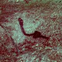 Rock art at Ai Aba Lodge, Erongo region, Namibia