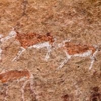 Namibia, Rock art, Brandberg