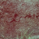 Rock art at Ai Aba Lodge, Erongo region, Namibia