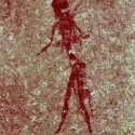 Rock art at Ai Aba Lodge, Erongo region, Namibia