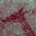 Rock art at Ai Aba Lodge, Erongo region, Namibia