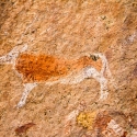 Namibia,  Rock art, Brandberg