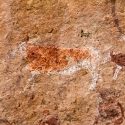 Namibia, Rock art, Brandberg