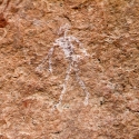 Namibia, Rock art, Brandberg