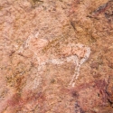 Namibia, Rock art, Brandberg