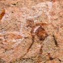 Namibia, Rock art, Brandberg7