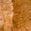 Namibia, Rock art, Brandberg