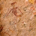 Namibia, Rock art, Brandberg