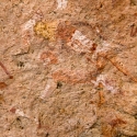 Namibia, Rock art, Brandberg