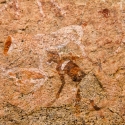 Namibia, Rock art, Brandberg