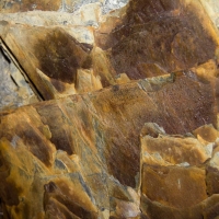 Berkshire branch of the Cambridge Society visit to Dolaucothi Gold mine