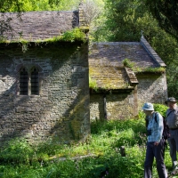 Berkshire branch of the Cambridge Society visit to  Dinefwr Castle and Newton House