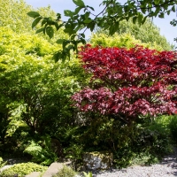 Berkshire branch of the Cambridge Society visit to National Botanic Garden of Wales