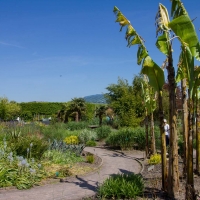 Berkshire branch of the Cambridge Society visit to National Botanic Garden of Wales