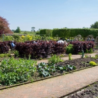 Berkshire branch of the Cambridge Society visit to National Botanic Garden of Wales