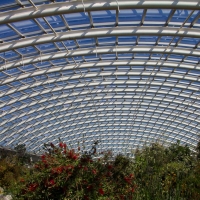 Berkshire branch of the Cambridge Society visit to National Botanic Garden of Wales