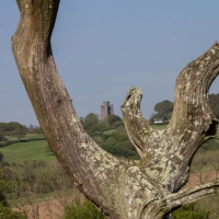 Berkshire branch of the Cambridge Society visit to National Botanic Garden of Wales