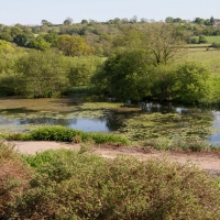 Berkshire branch of the Cambridge Society visit to National Botanic Garden of Wales