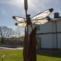 Berkshire branch of the Cambridge Society visit to National Botanic Garden of Wales