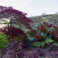 Berkshire branch of the Cambridge Society visit to National Botanic Garden of Wales