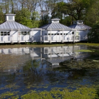 Berkshire branch of the Cambridge Society visit to National Botanic Garden of Wales